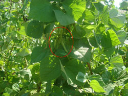 ¡B(ti)r(nng)I(y)ɽf