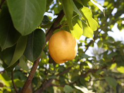 ¡B(ti)r(nng)I(y)ɽf