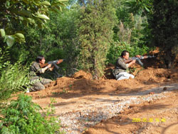 ¡B(ti)r(nng)I(y)ɽf