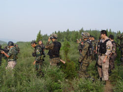 ¡B(ti)r(nng)I(y)ɽf