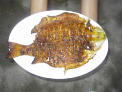 Ĺ̶(mng)(mng)r(nng)Ժ