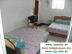 Ĺ̶(mng)(mng)r(nng)Ժ