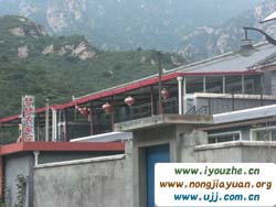 Ĺ̶(mng)(mng)r(nng)Ժ