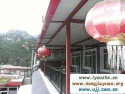 Ĺ̶(mng)(mng)r(nng)Ժ